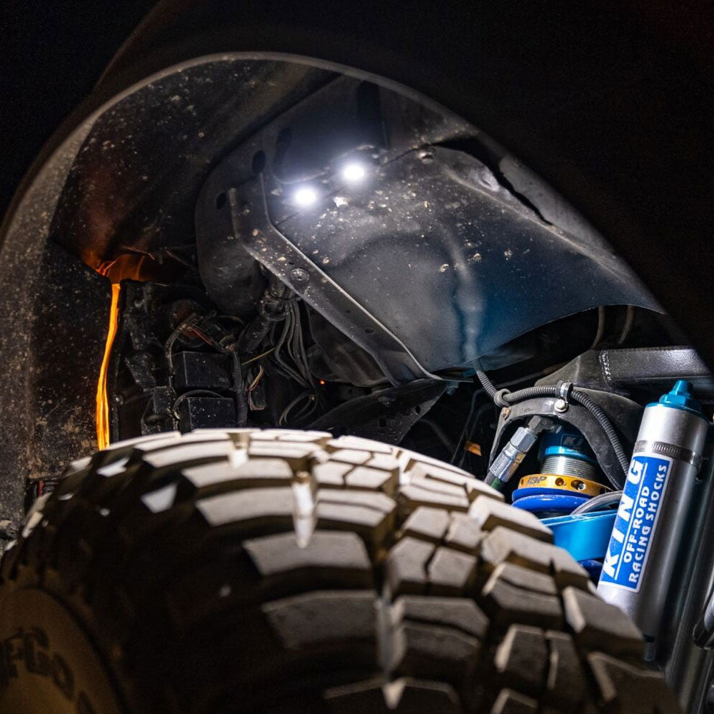 LED Rock Light